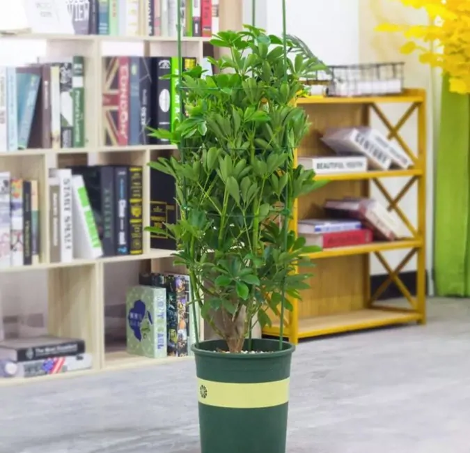 Bradas TYRP75 Kruhová podpěra rostlin 75 cm 3 kruhy