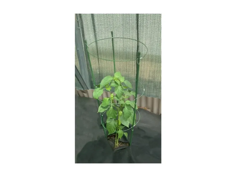 Bradas TYRP75 Kruhová podpěra rostlin 75 cm 3 kruhy